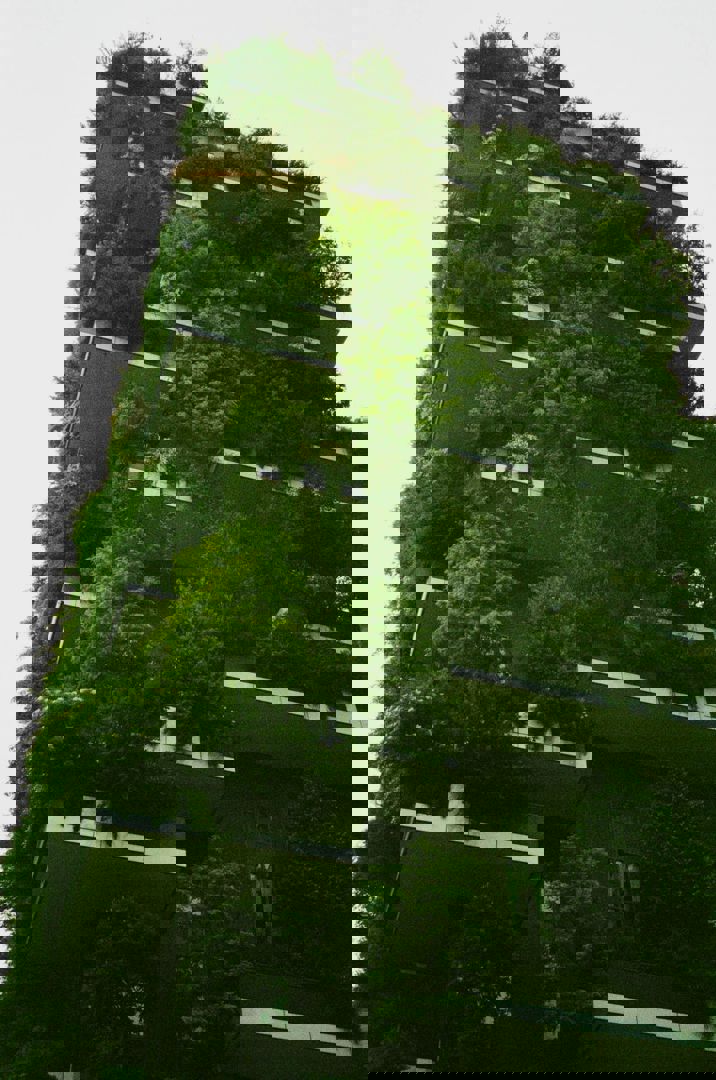 Arhitectura și natura